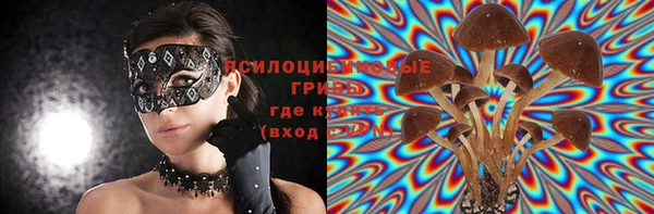 прущая мука Михайловск
